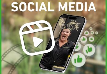 Workshop Social Media (reels)